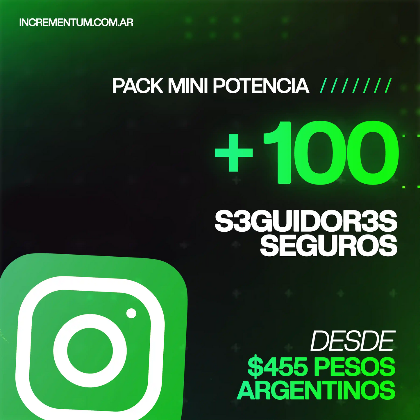 Seguidores Instagram