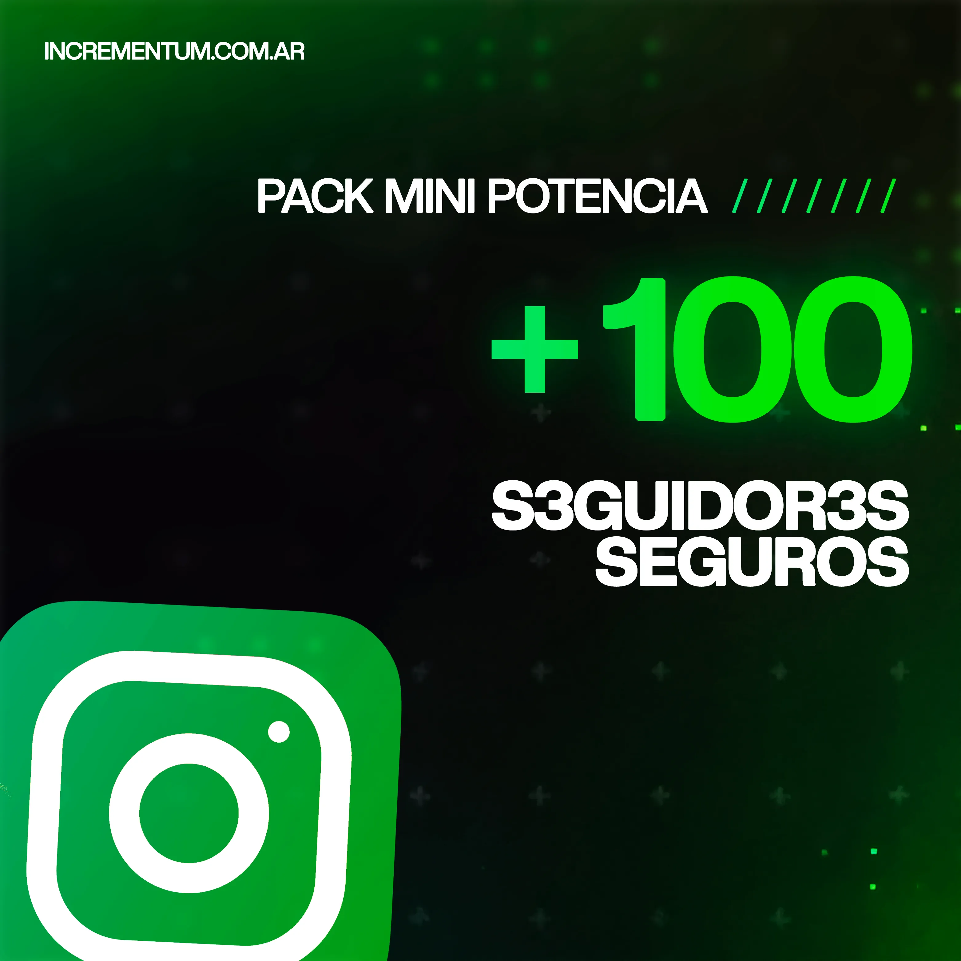 Seguidores Instagram