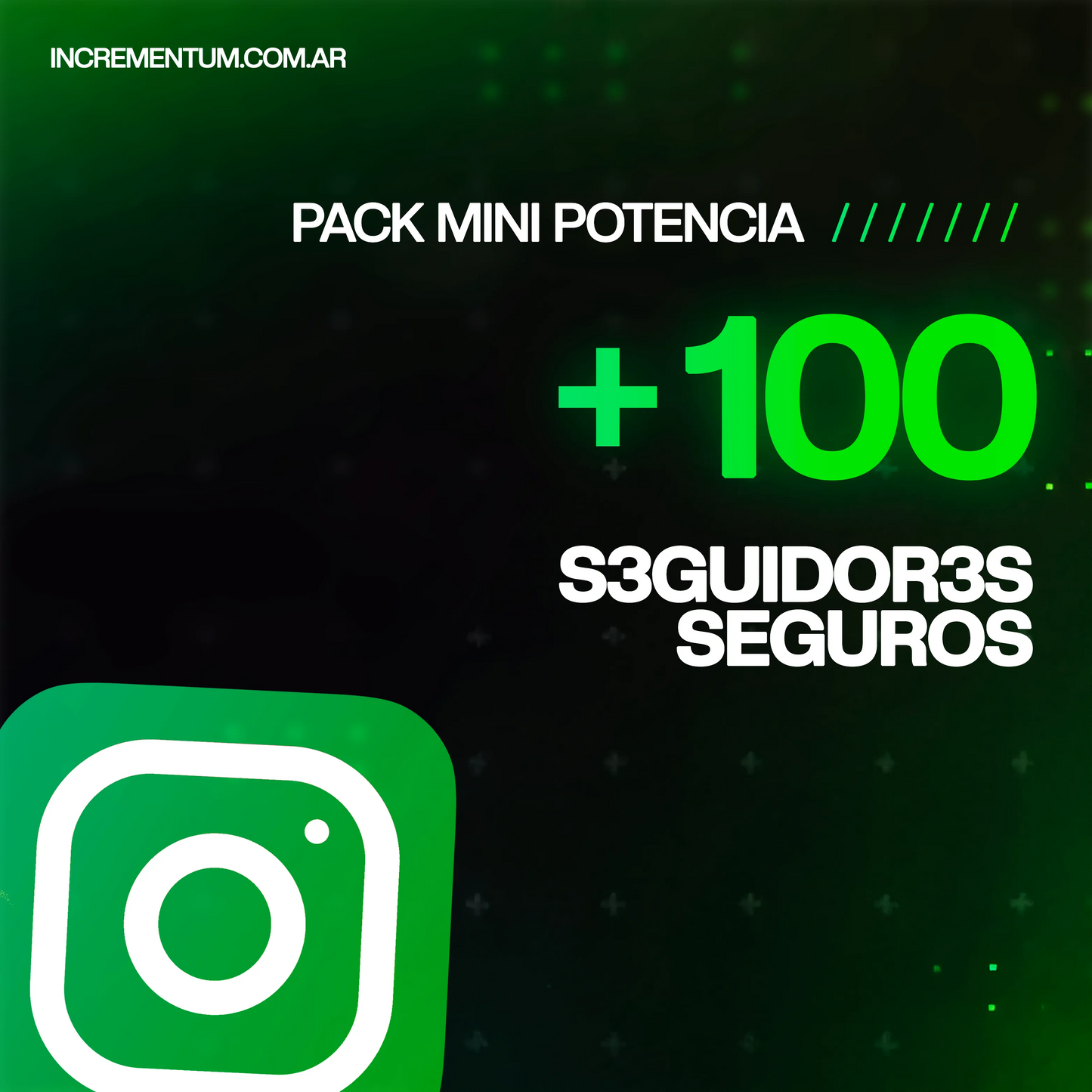 Seguidores Instagram