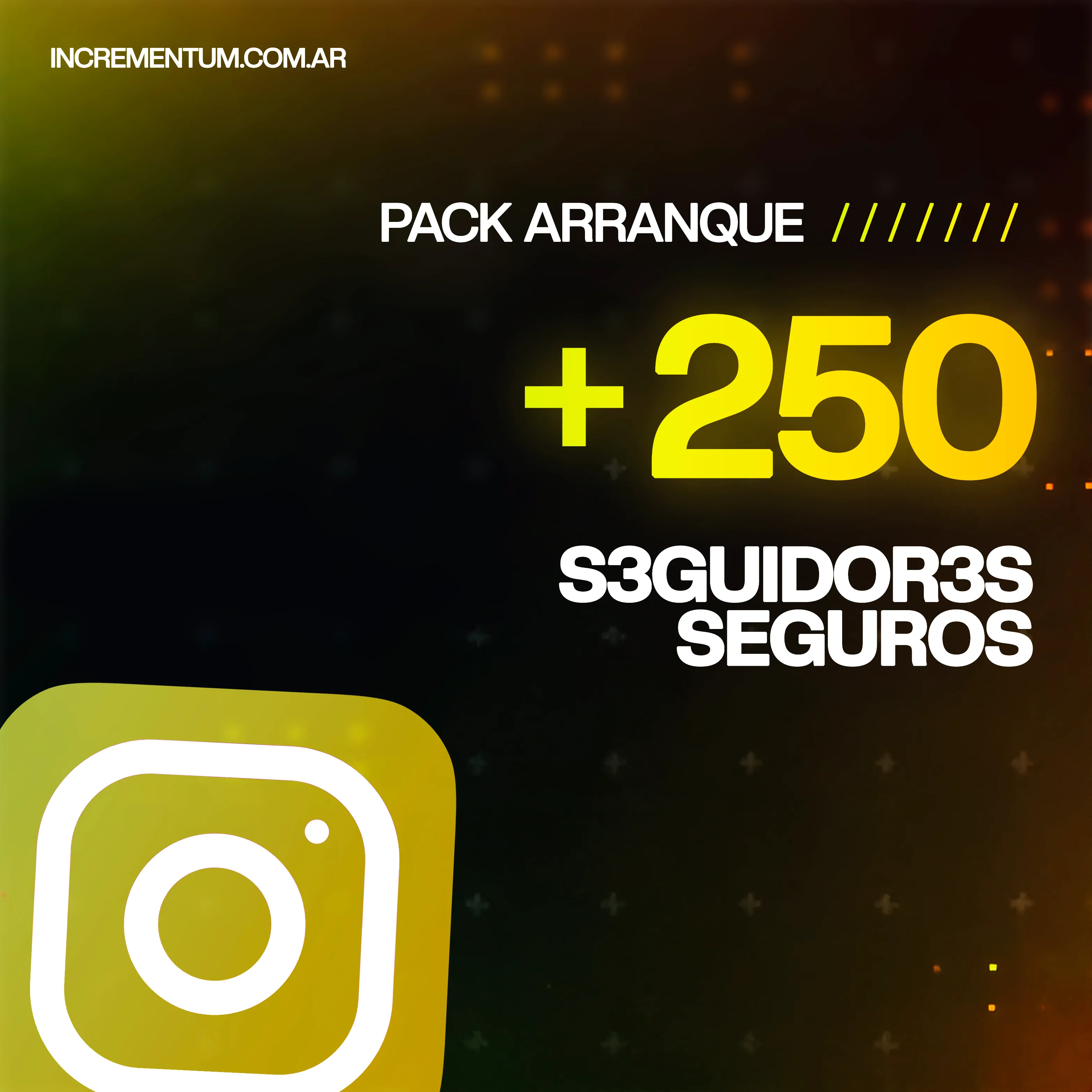 Seguidores Instagram